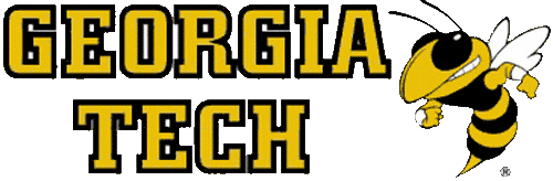 Georgia Tech Yellow Jackets 1991-Pres Wordmark Logo vinyl decal